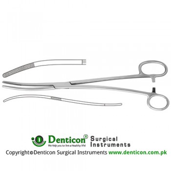 Bozemann-Douglas Sponge Holding Forcep Curved S Shaped - One Large Ring Stainless Steel, 26 cm - 10 1/4"